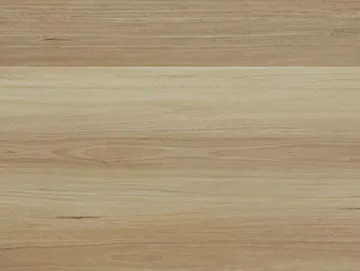 NSW Blackbutt