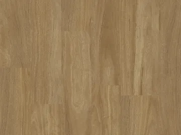 Blackbutt