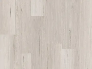 Coastal Blackbutt
