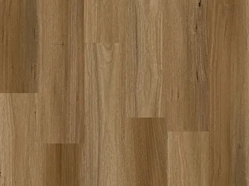 Spotted Gum